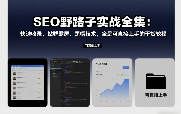 SEO野路子实战全集：快速收录、站群霸屏、黑帽技术，全是可直接上手的干货教程